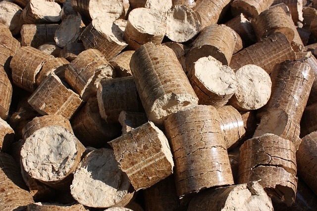 briquetas-pellets-biomasa